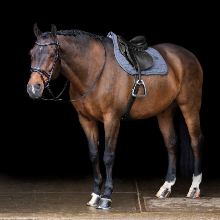 Saddlepad ESLiona GP - 7119 - Magnet Grey