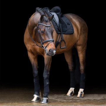 Zadeldekje ESLiona DR -  Black